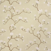 Magnolia Tree