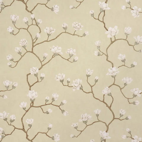 Magnolia Tree