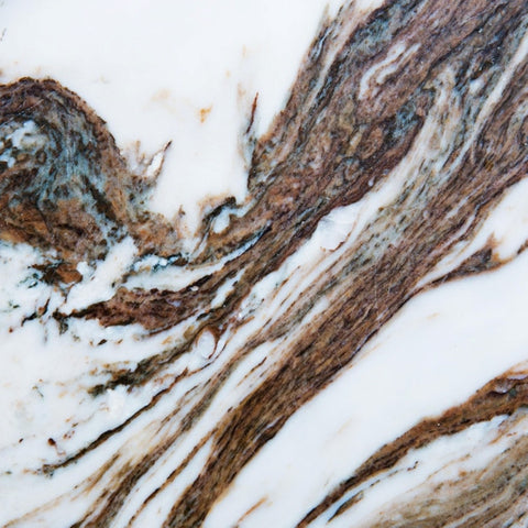 tree trunk