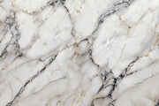 Calacatta Marble Texture