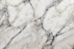 Calacatta Marble Texture